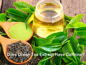 Does Green Tea Extract Have Caffeine?